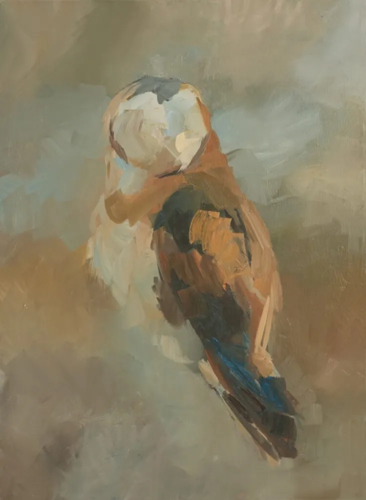 Sowa płomykówka I - olej, oryginał 50×70 cm