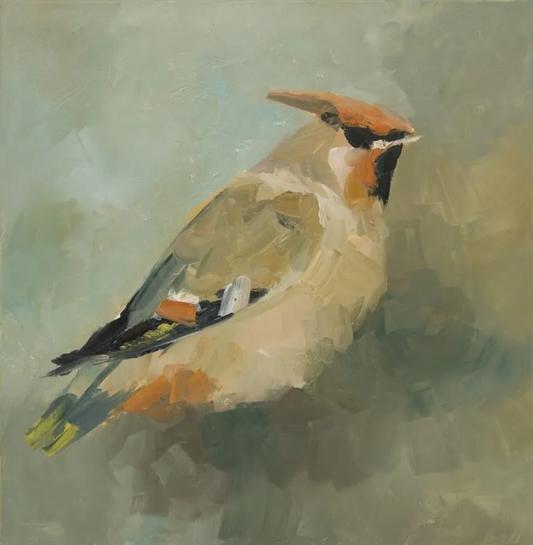 Jemiołuszka - olej, oryginał 60×60 cm