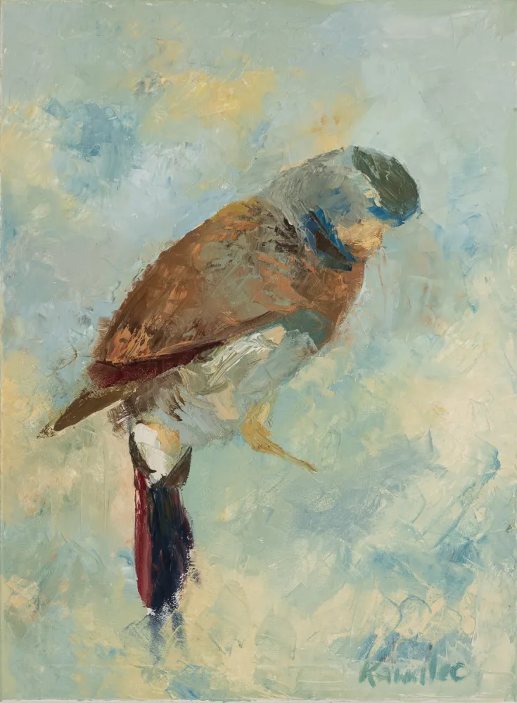 B 29, obraz olejny 50 cm x 70 cm