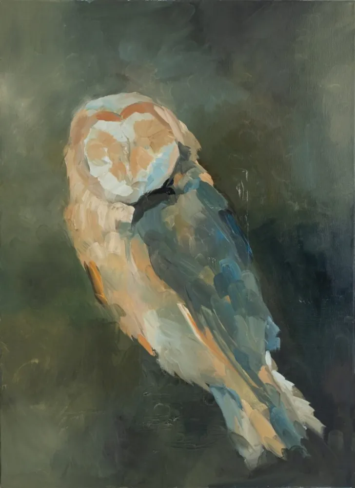 Sowa płomykówka II - olej, oryginał 50×70 cm