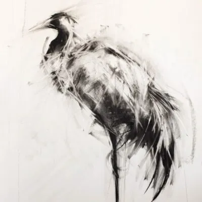 C 11, grafika 70 cm x 100 cm
