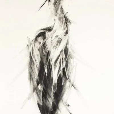 C 12, grafika 71 cm x 100 cm