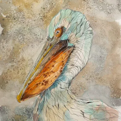 Pelikan (E 04), grafika 24 cm x 32 cm