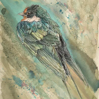Jaskółka (E 11), grafika 24 cm x 32 cm