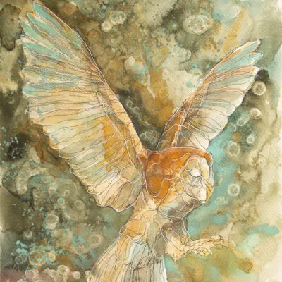 Płomykówka (E 13), grafika 24 cm x 32 cm