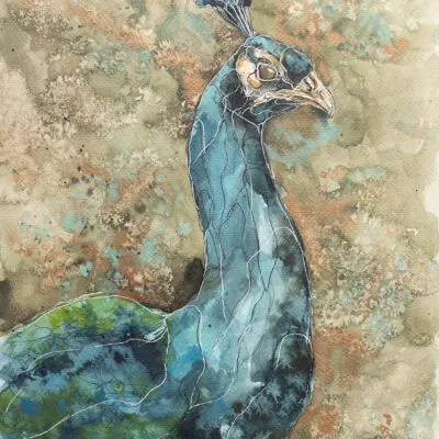 Paw (E 19), grafika 24 cm x 32 cm