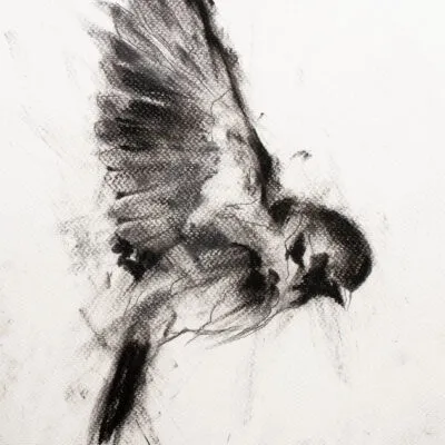 D 24, grafika 24 cm x 32 cm