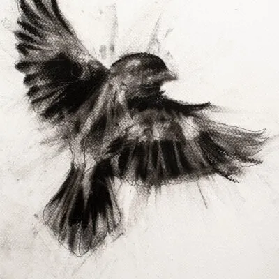 D 26, grafika 24 cm x 32 cm