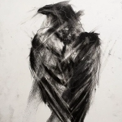 Kruk (D 27), grafika 24 cm x 32 cm