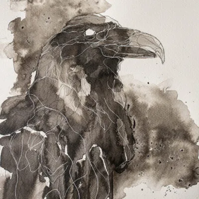 Kruk (D 32), grafika 24 cm x 32 cm