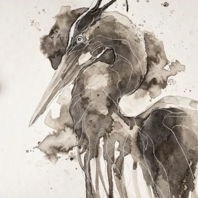 Czapla (D 33), grafika 24 cm x 32 cm