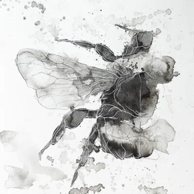 D 41, grafika 24 cm x 32 cm