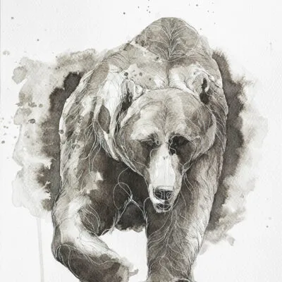 Niedźwiedź (D 44), grafika 24 cm x 32 cm