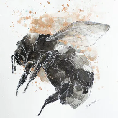 E 31, grafika 24 cm x 32 cm