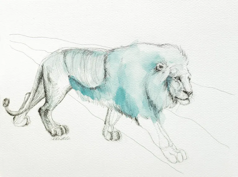 Lew - akwarela, oryginał 23×30,5 cm