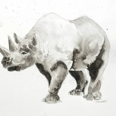 W 31, grafika 24 cm x 32 cm