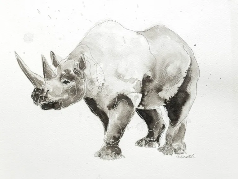 Nosorożec - tusz, oryginał 24×32 cm