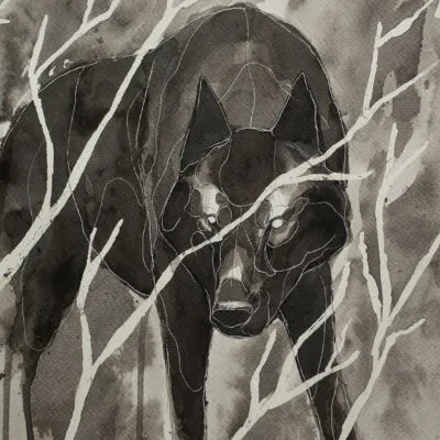 Wilk (F 12) grafika 24 cm x 32 cm