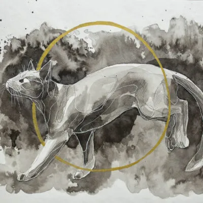 F 20 grafika 24 cm x 32 cm