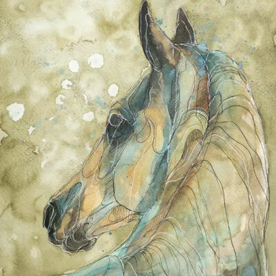 F 22 grafika 24 cm x 32 cm