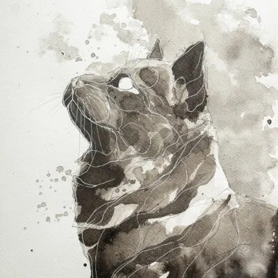 F 25 grafika 24 cm x 32 cm