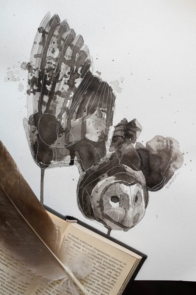 Płomykówka - tusz, oryginał 30×40 cm