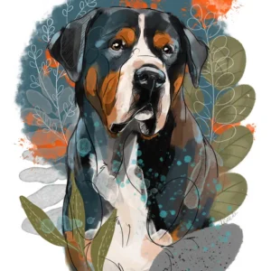 cyfrowy portret rasy- duży szwajcarski pies pasterski