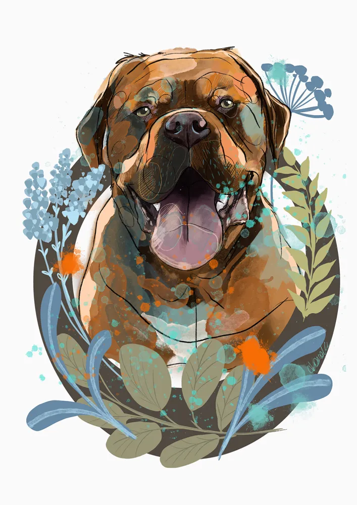 cyfrowy portret rasy- dogue de bordeaux
