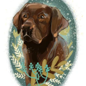 cyfrowy portret rasy- labrador czekoladowy