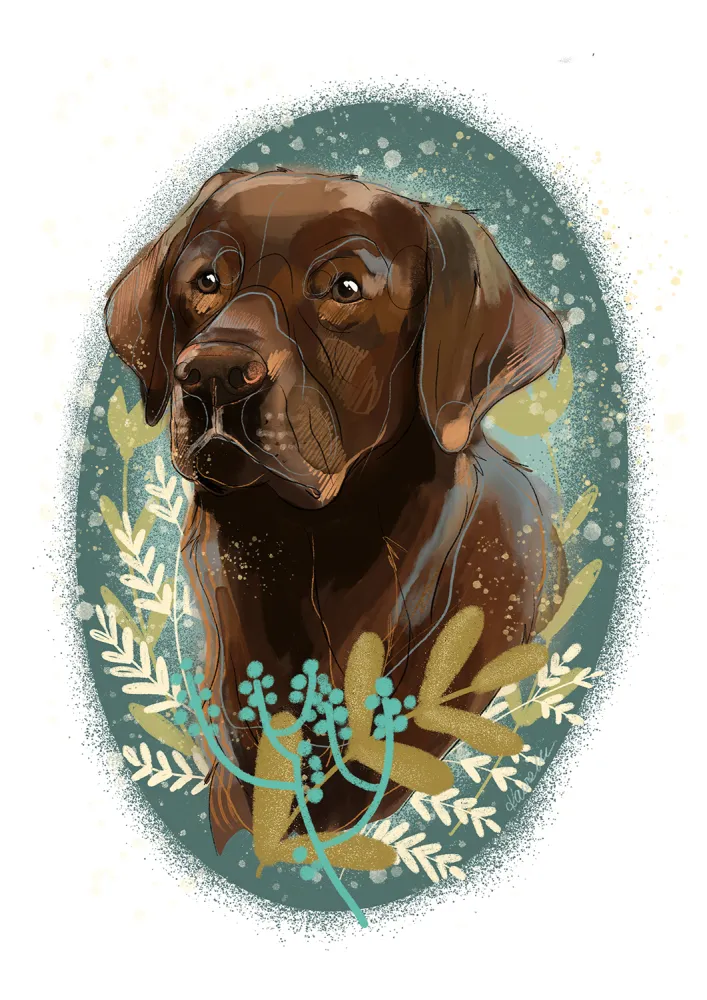 cyfrowy portret rasy- labrador czekoladowy