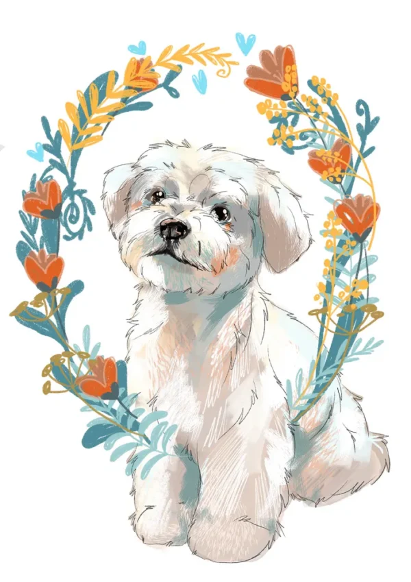 Cyfrowy portret rasy- maltańczyk