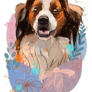 cyfrowy portret rasy-  kooikerhondje