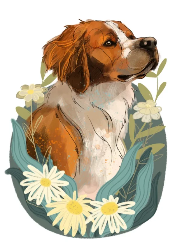 Cyfrowy portret rasy- spaniel bretoński
