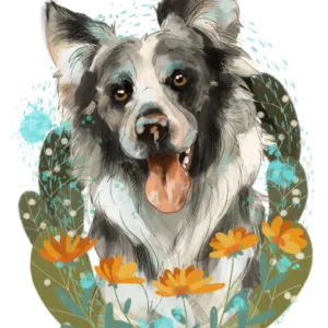 cyfrowy portret rasy-  border collie merle