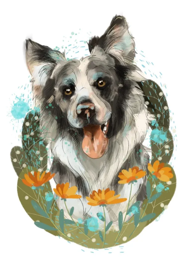 Cyfrowy portret rasy- border collie merle