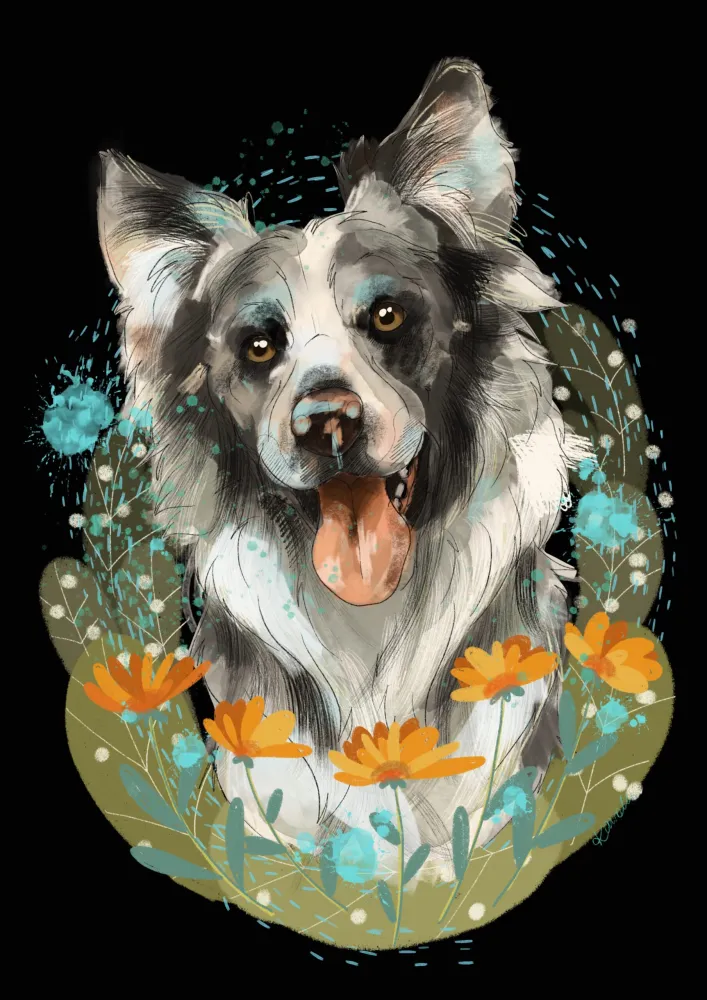 cyfrowy portret rasy- border collie merle - Image 2