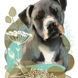 cyfrowy portret rasy-  amstaff