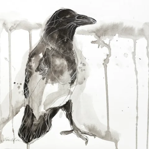 D 13 grafika 24 cm x 32 cm