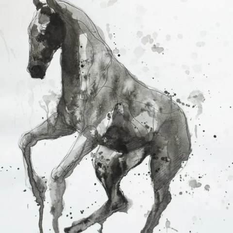 D 15 grafika 24 cm x 30 cm