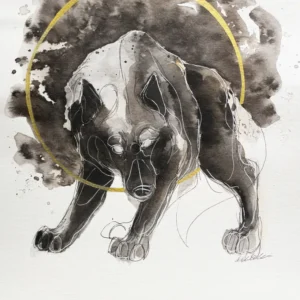 Wilk (D 17), grafika 24 cm x 32 cm