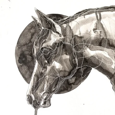 D 34 grafika 24 cm x 32 cm