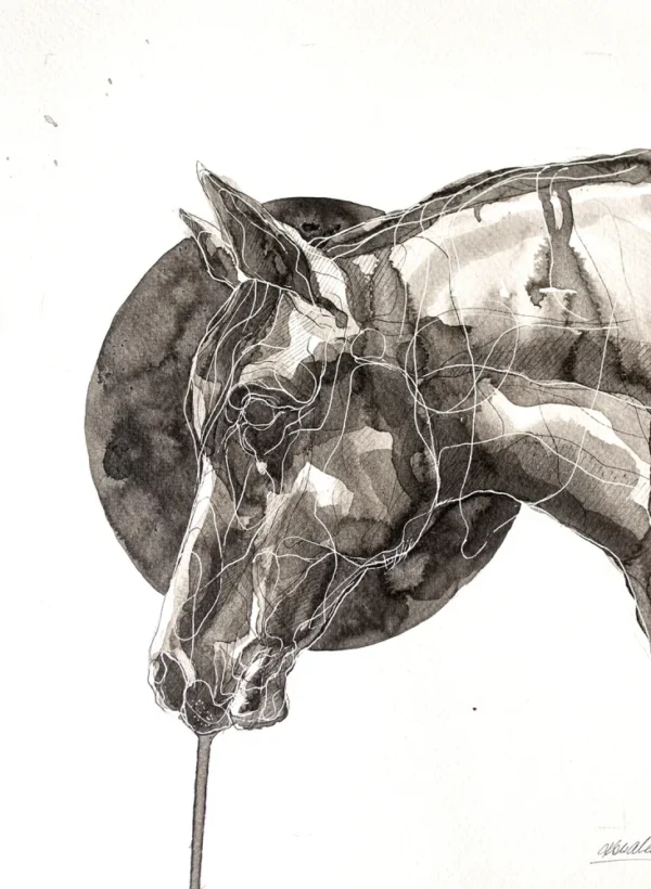 Koń - tusz, oryginał 24×32 cm