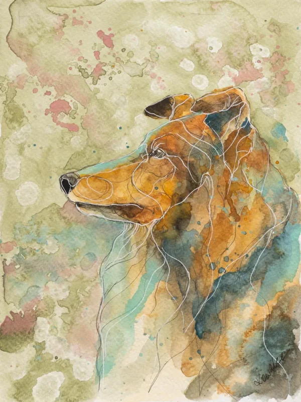 Owczarek szkocki długowłosy - akwarela, oryginał 18×24 cm
