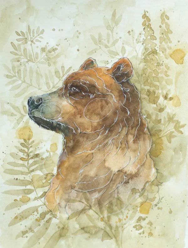 Niedźwiedź IV - akwarela, oryginał 24×32 cm