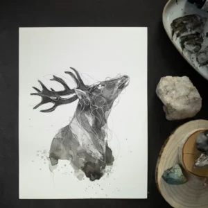 Jeleń (H 26), grafika 24 cm x 32 cm