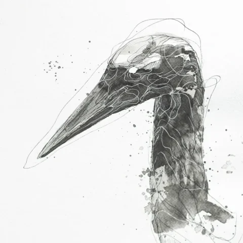 H 27 grafika 24 cm x 32 cm