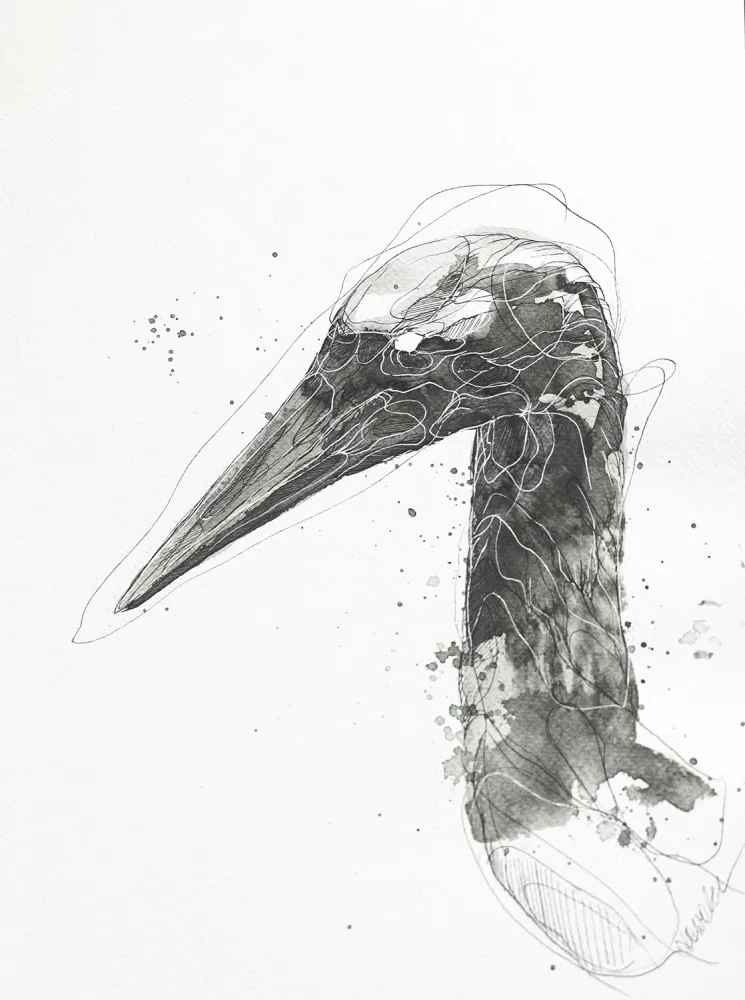 H 27 grafika 24 cm x 32 cm