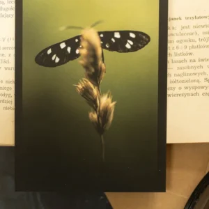 Kartka pocztowa nr 5 seria Robaczki