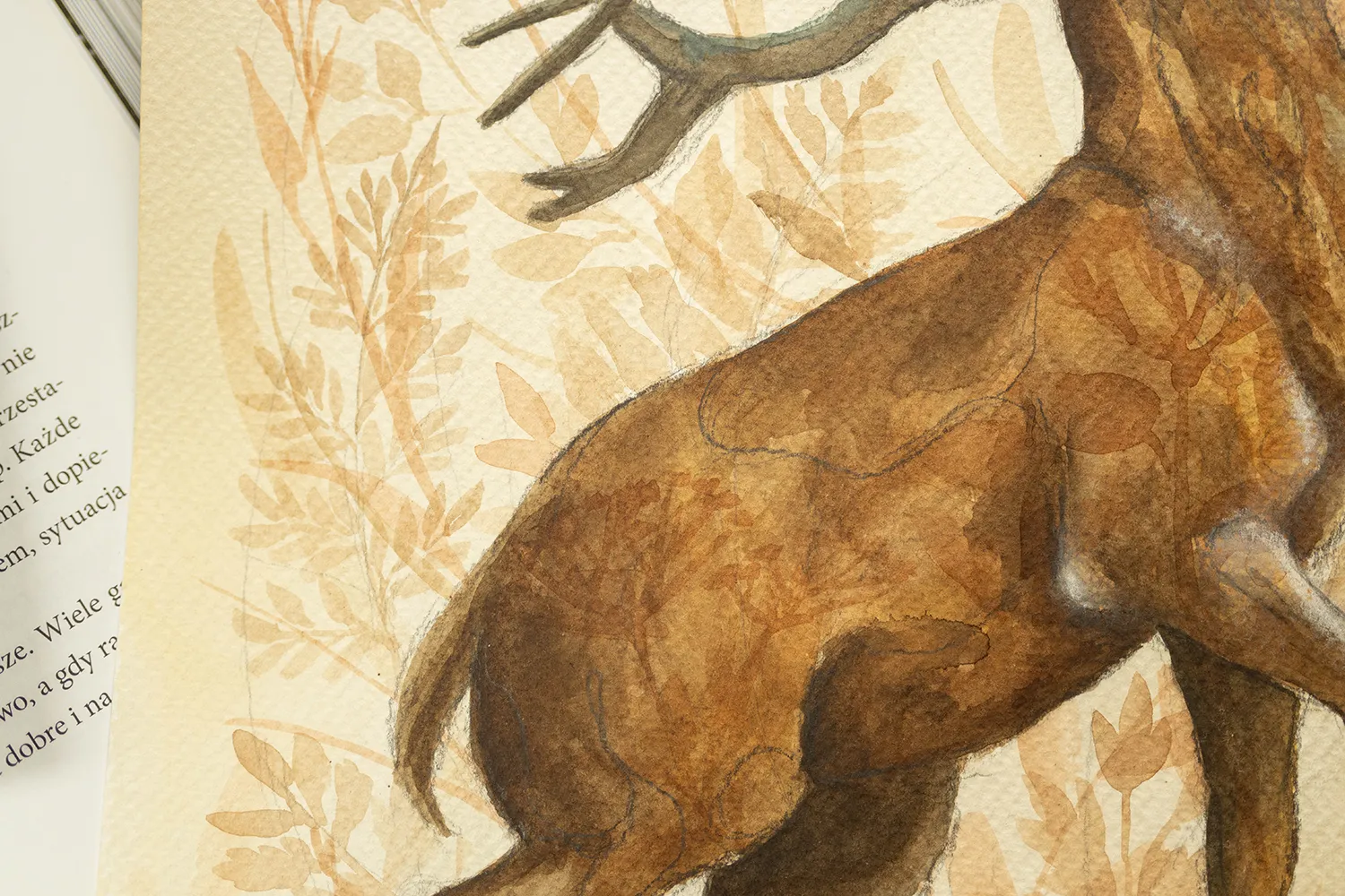 Botaniczny Jeleń I, (I 04), grafika 24 cm x 32 cm - Image 2