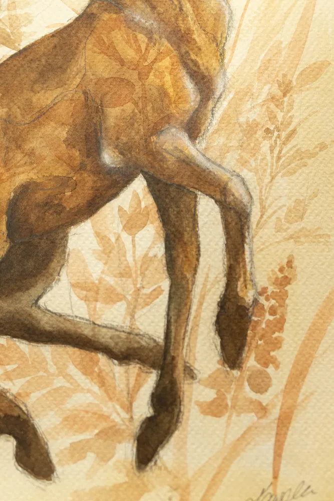 Botaniczny Jeleń I, (I 04), grafika 24 cm x 32 cm - Image 3